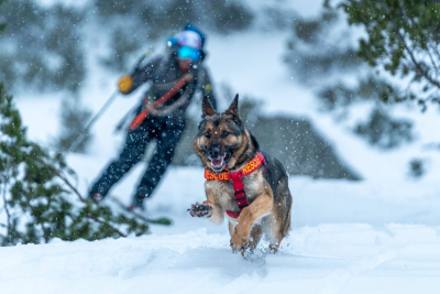 S profesion&aacute;lnym horsk&yacute;m z&aacute;chran&aacute;rom Jakubom Filipkom o knihe Hector