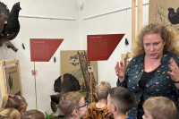 Stredoslovenské múzeum pozýva na výstavu Vzácne kury